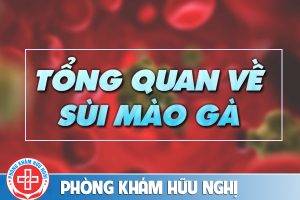 tổng quan sùi mào gà